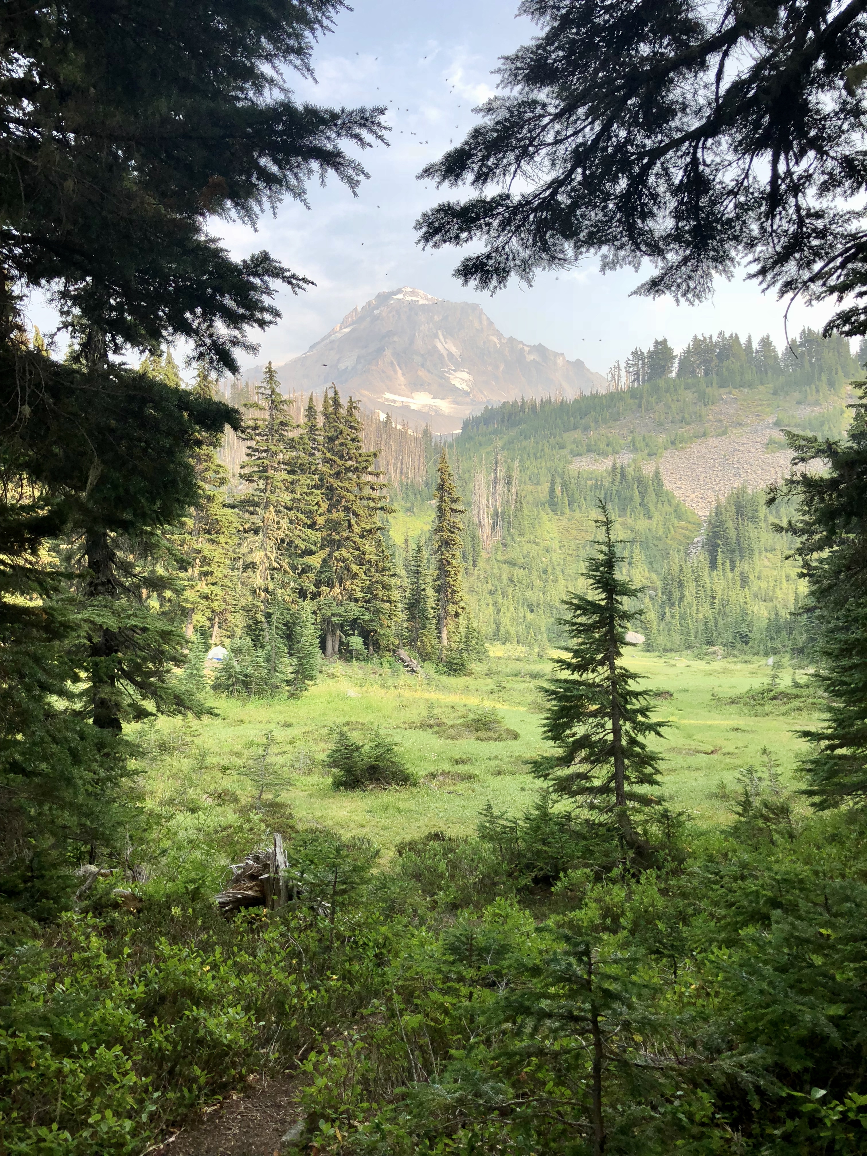 Mount Hood framed by valley and trees